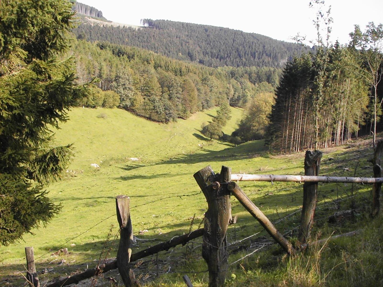 Sonneneck Hotel Winterberg Eksteriør billede