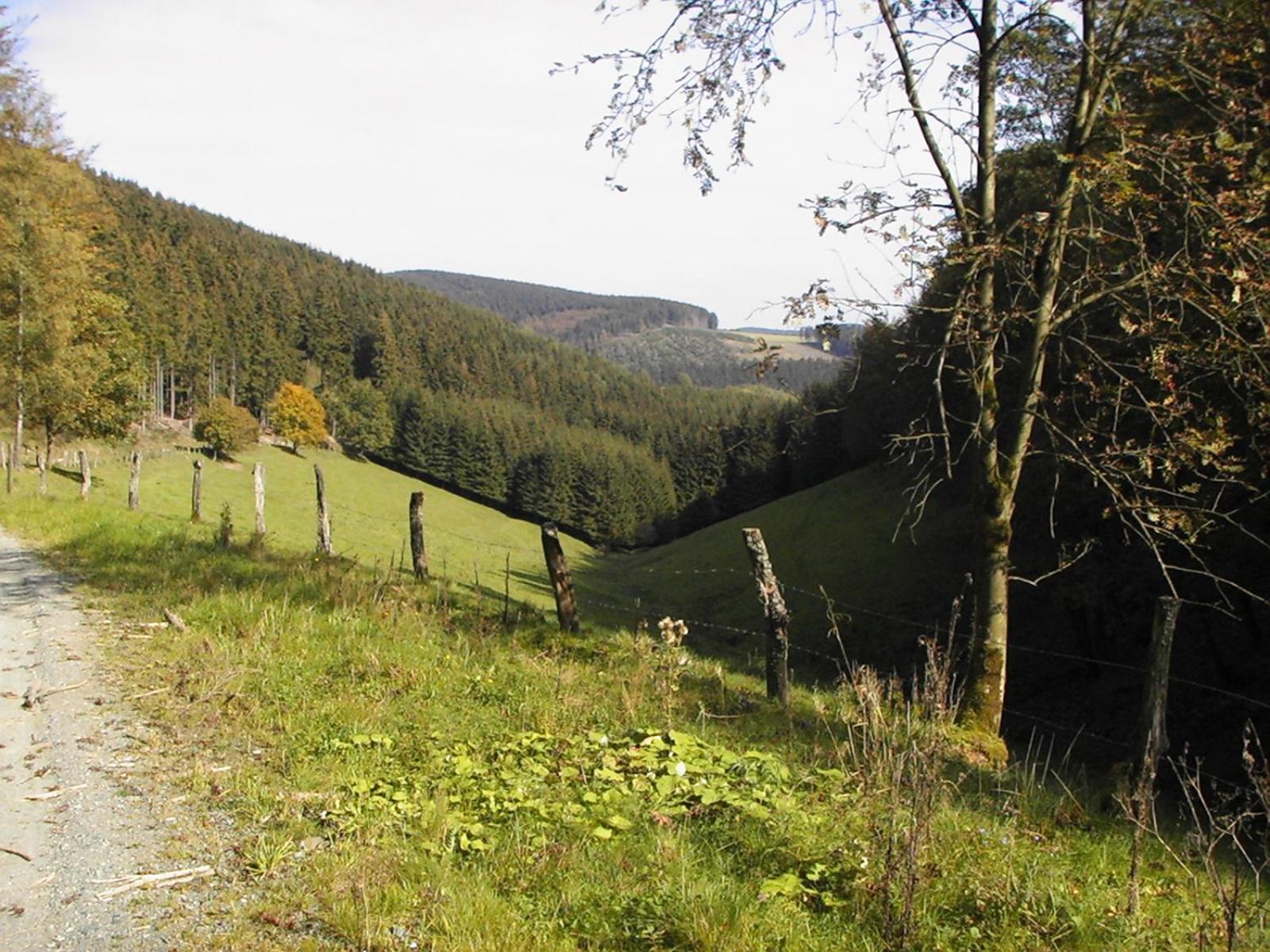 Sonneneck Hotel Winterberg Eksteriør billede